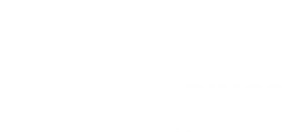 Bridge Bearings logo